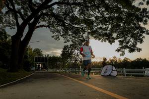 BIB: 
                            <button type="button" onclick="openModal(26555296)" class="btn btn-primary btn-sm float-right btn-popup" data-toggle="modal" data-target=".modal-high-quality">
                        <i class="fas fa-shopping-cart"></i> Add to Cart
                    </button>
                                            <button type="button" onclick="isThisMe(26555296, true)" class="btn btn-success btn-sm float-right btn-popup btn-isme hidden" data-toggle="tooltip" data-placement="bottom" title="นี่คือรูปของคุณใช่ไหม คลิกที่นี่เพื่อเอาเข้าอัลบั้ม">
                        <i class="fas fa-plus"></i> Add to album
                    </button>
                    <button type="button" onclick="isThisMe(26555296, false)" class="btn btn-warning btn-sm float-right btn-popup btn-isnotme hidden">
                        <i class="fas fa-ban"></i> Remove from album
                    </button>